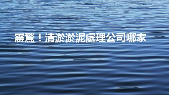 震驚！清淤淤泥處理公司哪家強(qiáng)？在線等，挺急的！